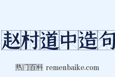 赵村道中造句是什么意思的图片